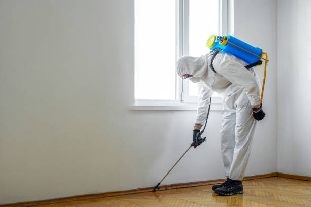 Pest Prevention Services in Karnes City, TX